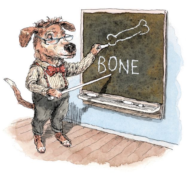 John Cuneo, used with permission.