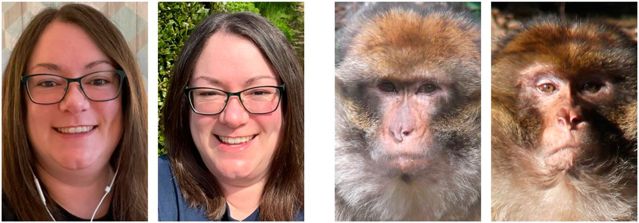 Figure 1: Ritchie, K. L., Flack, T. R., & Maréchal, L. (2022). Unfamiliar faces might as well be another species: Evidence from a face matching task with human and monkey faces. Visual Cognition, 30(10), 680-685.