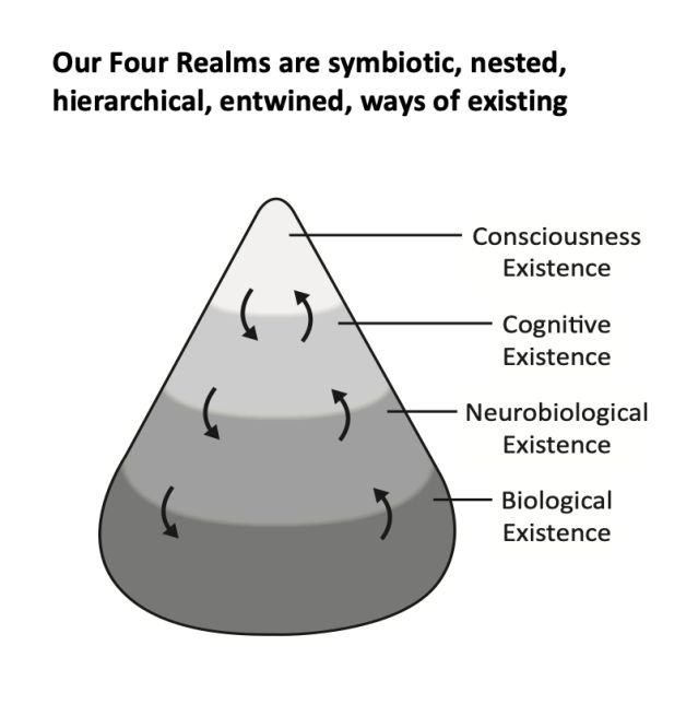 Joseph LeDoux, The Four Realms of Existence.