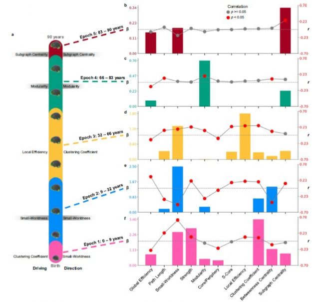 Epochs and Network Patters