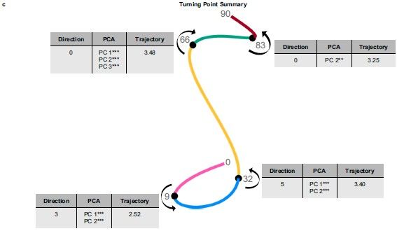 Turning Point Analysis