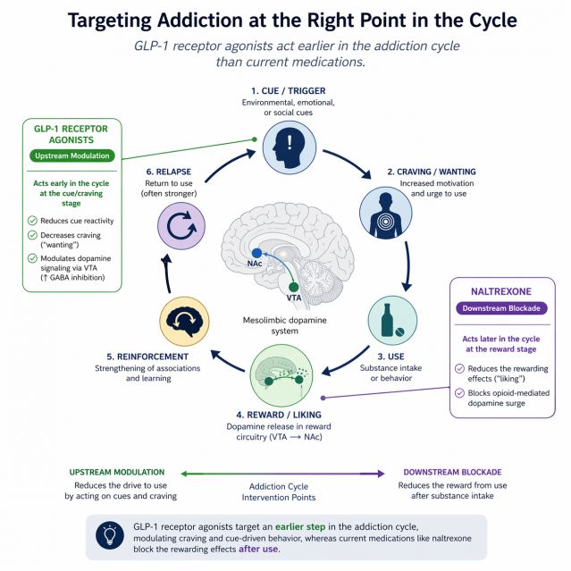 glp 1 and addiction GLP-1s Like Ozempic May Be a New Treatment for Addiction