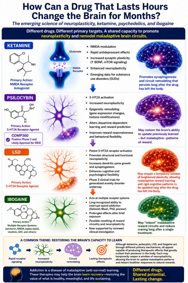 How Does a Drug Lasting Hours Change the Brain for Extended Periods?>