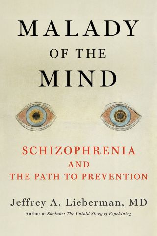 Mending the Schizophrenic Mind | Psychology Today