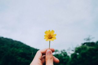 Kawin Harasai / Unsplash Kawin Harasai / Unsplash