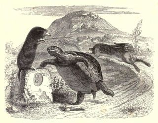 Image from LaFontaine’s Fables, (1855), Jean Ignace Isadore Gerard Grandville, illustrator, Courtesy Wikimedia Commons.