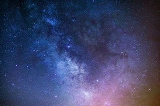 Source: Andy Holmes/Unsplash Source: Andy Holmes/Unsplash