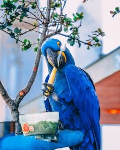 Fuente: Simon Shim | Unsplash Fuente: Simon Shim | Unsplash