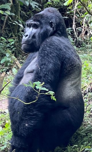 Jennifer Verdolín 2023 Jennifer Verdolín 2023