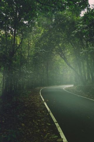 Visual Entity/Pexels Visual Entity/Pexels