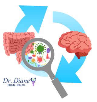 Dr. Diane Brain Health/Dr. Diane Stoler