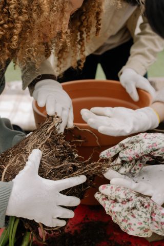 Estudio Cottonbro/Pexels Estudio Cottonbro/Pexels