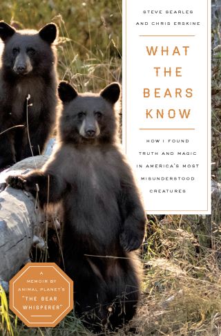 What Do Bears Know and Feel? | Psychology Today