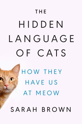 How Social Are Cats?: The Social Lives Of Cats