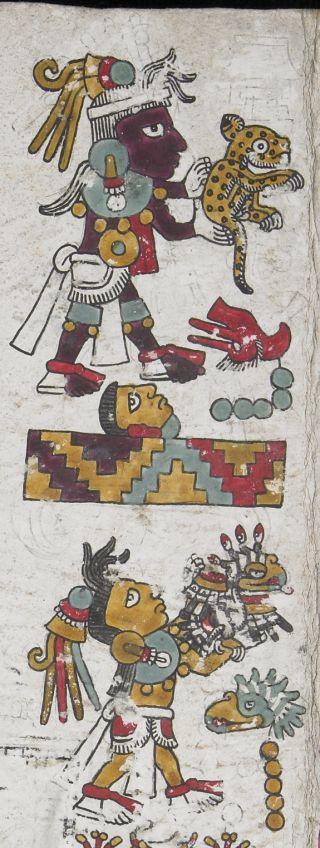 Source: Marcy Norton, Codex Zouche-Nuttall, p. 47, ca. 1200–1521. British Museum Am1902,0308.1/with permission.