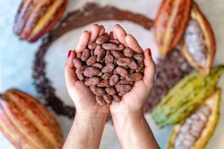 Source: Freddy Bejarano/Shutterstock Source: Freddy Bejarano/Shutterstock