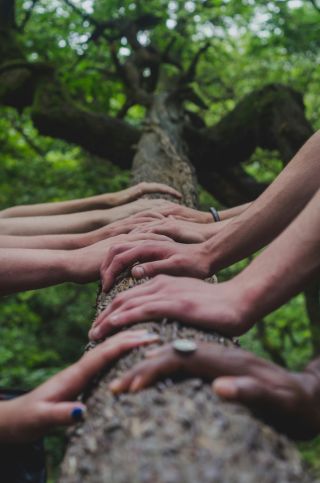 Shane Rounce/Unsplash Shane Rounce/Unsplash