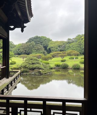 Cara DiYanni Cara DiYanni