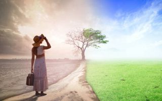 منبع: سازنده: Boonyachoat | اعتبار: Getty Images/iStockphotos