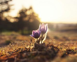 Ales Maze / Unsplash