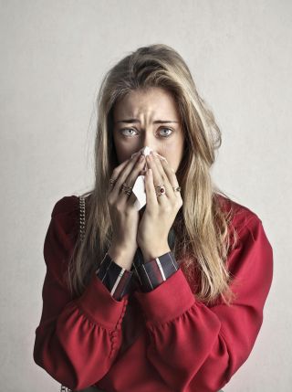 آندره آ پیاکادیو / پکسل