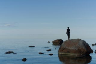 منبع: دارالترجمه ترنسلی/ Unsplash