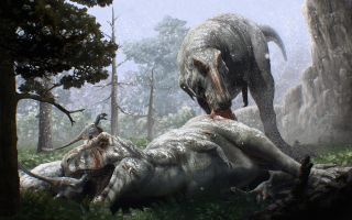 Gabriel Ugueto, used with permission.