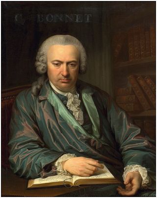منبع: Juel Jens/Wikimedia Commons/Public Domain
