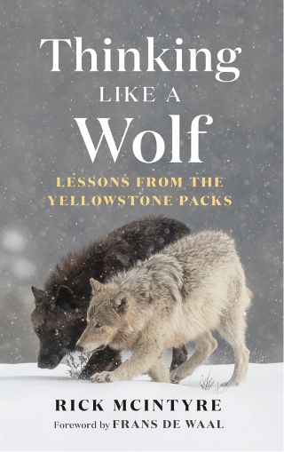 Greystone Books/با اجازه.