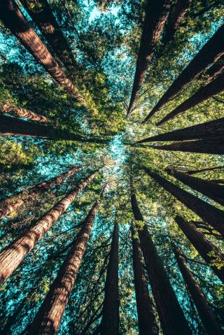 Casey Horner/Unsplash