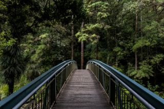 تیم سوان / Unsplash