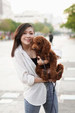 Source: Ly Huynh / Pixabay