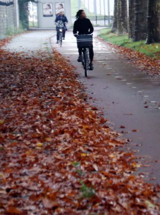 Ilan Kelman Ilan Kelman