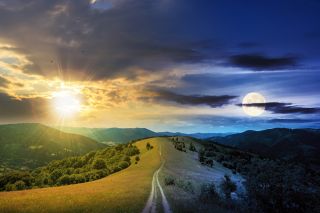 Source: Mike Pellini / Shutterstock Source: Mike Pellini / Shutterstock