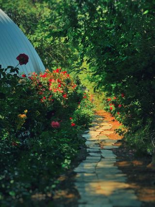 Source: Shuaizhi Tian / Pexels