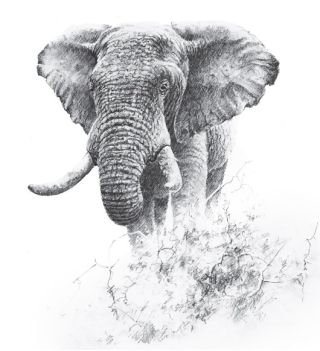 Source: Gareth Hook/used with permission.