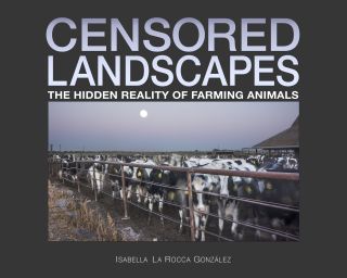 Lantern Publishing & Media/with permission.