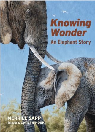 Source: Reverberations Books/used with permission.