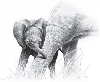 Source: Gareth Hook/used with permission.