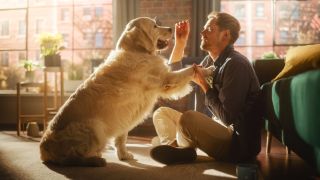 Source: Gorodenkoff/Shutterstock Source: Gorodenkoff/Shutterstock