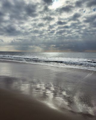 Source: Katie Willard Virant