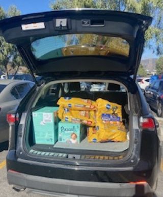 Photo by Elaine Miller-Karas (2025) Used with permission.