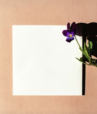 Why Do I Feel Empty? | Psychology Today