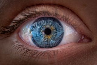 Rulo Jmp/Shutterstock