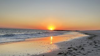 AI can be a calming influence