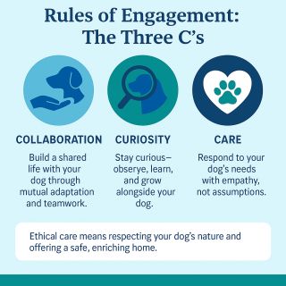 Image by Jessica Pierce