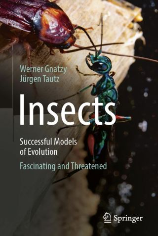 Why Insects' Doom Spells Gloom for Us and the Planet | Psychology Today