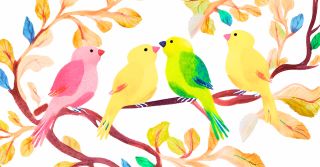 Colorful Canaries 
