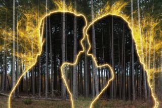 AI is being used to sift through the forest of dating profiles out there.