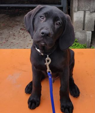 Oswald as a baby